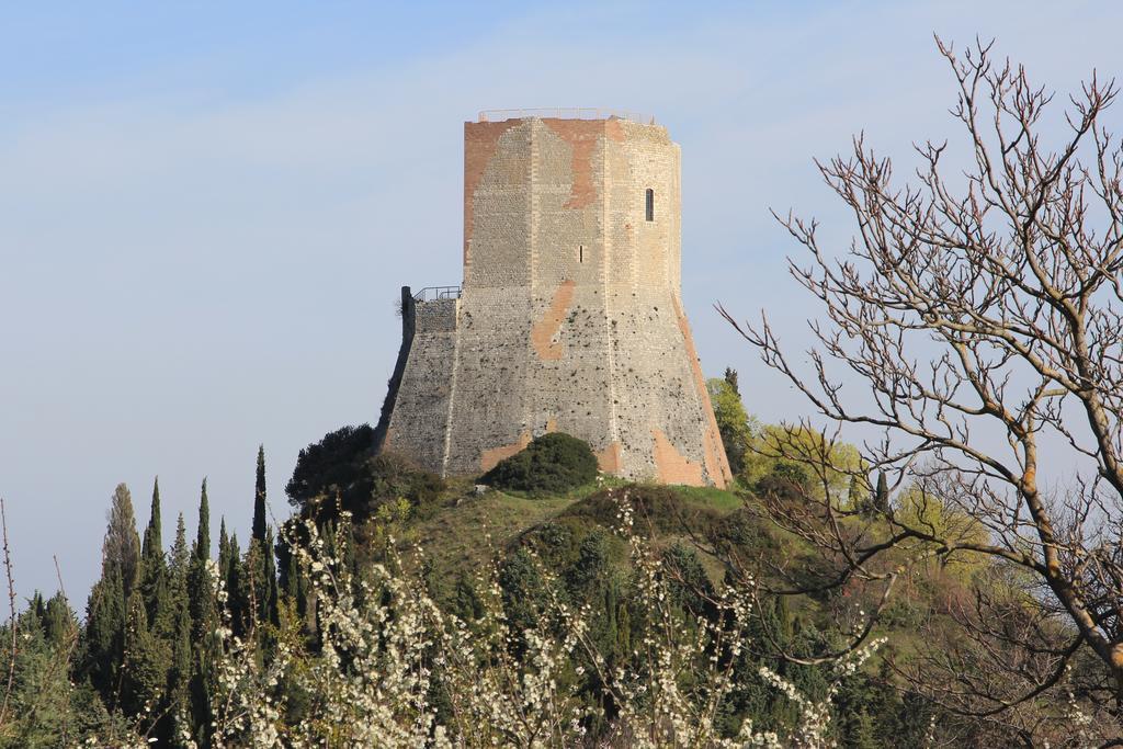 Apartament La Terrazza Sulla Val D'Orcia Castiglione dʼOrcia Zewnętrze zdjęcie