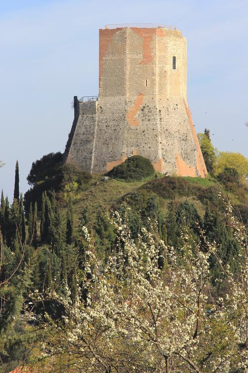 Apartament La Terrazza Sulla Val D'Orcia Castiglione dʼOrcia Zewnętrze zdjęcie
