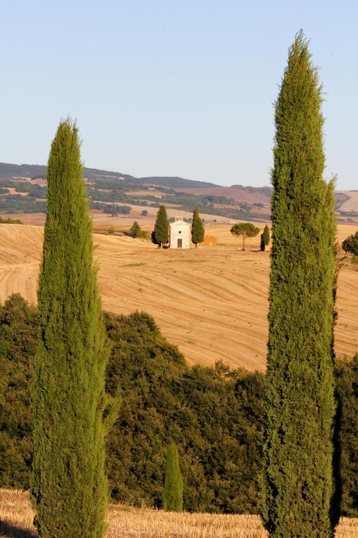 Apartament La Terrazza Sulla Val D'Orcia Castiglione dʼOrcia Zewnętrze zdjęcie