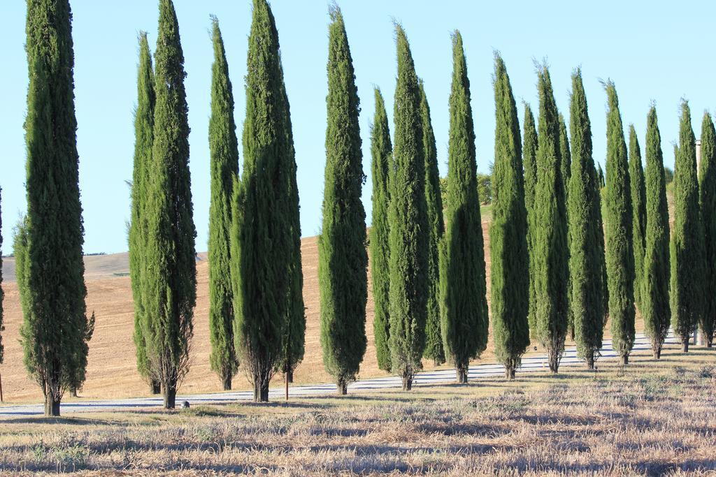 Apartament La Terrazza Sulla Val D'Orcia Castiglione dʼOrcia Zewnętrze zdjęcie