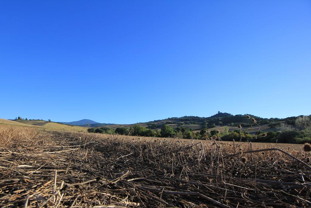 Apartament La Terrazza Sulla Val D'Orcia Castiglione dʼOrcia Zewnętrze zdjęcie