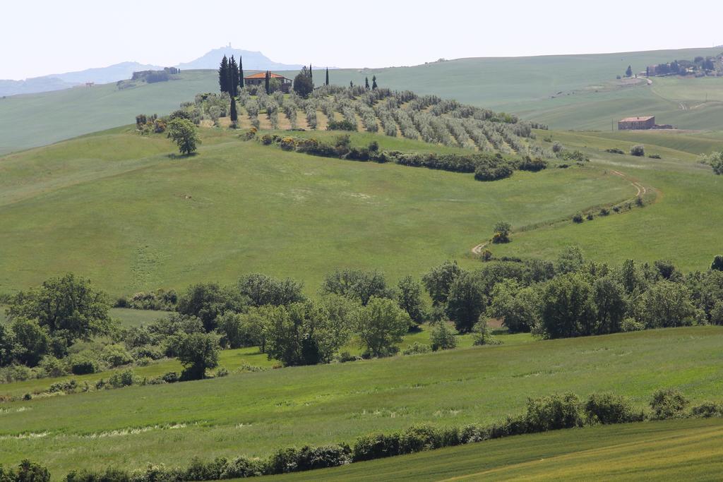 Apartament La Terrazza Sulla Val D'Orcia Castiglione dʼOrcia Zewnętrze zdjęcie